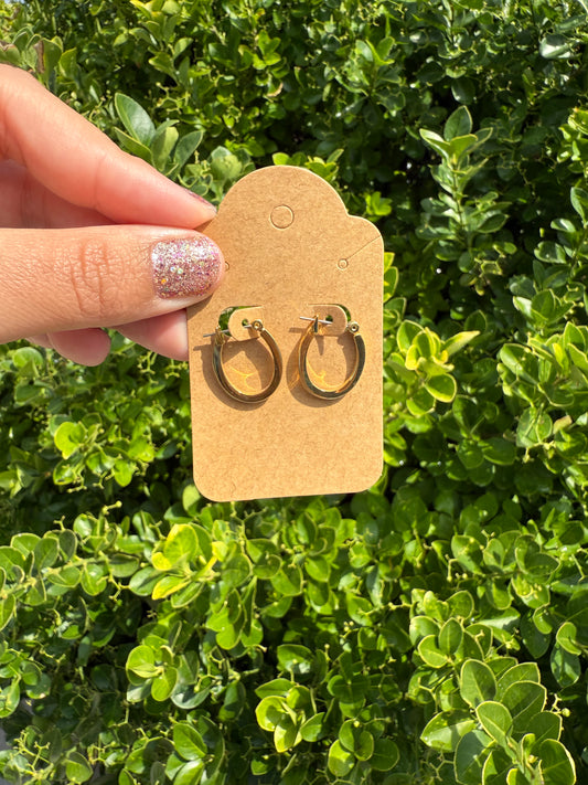 Small Oval Hoops